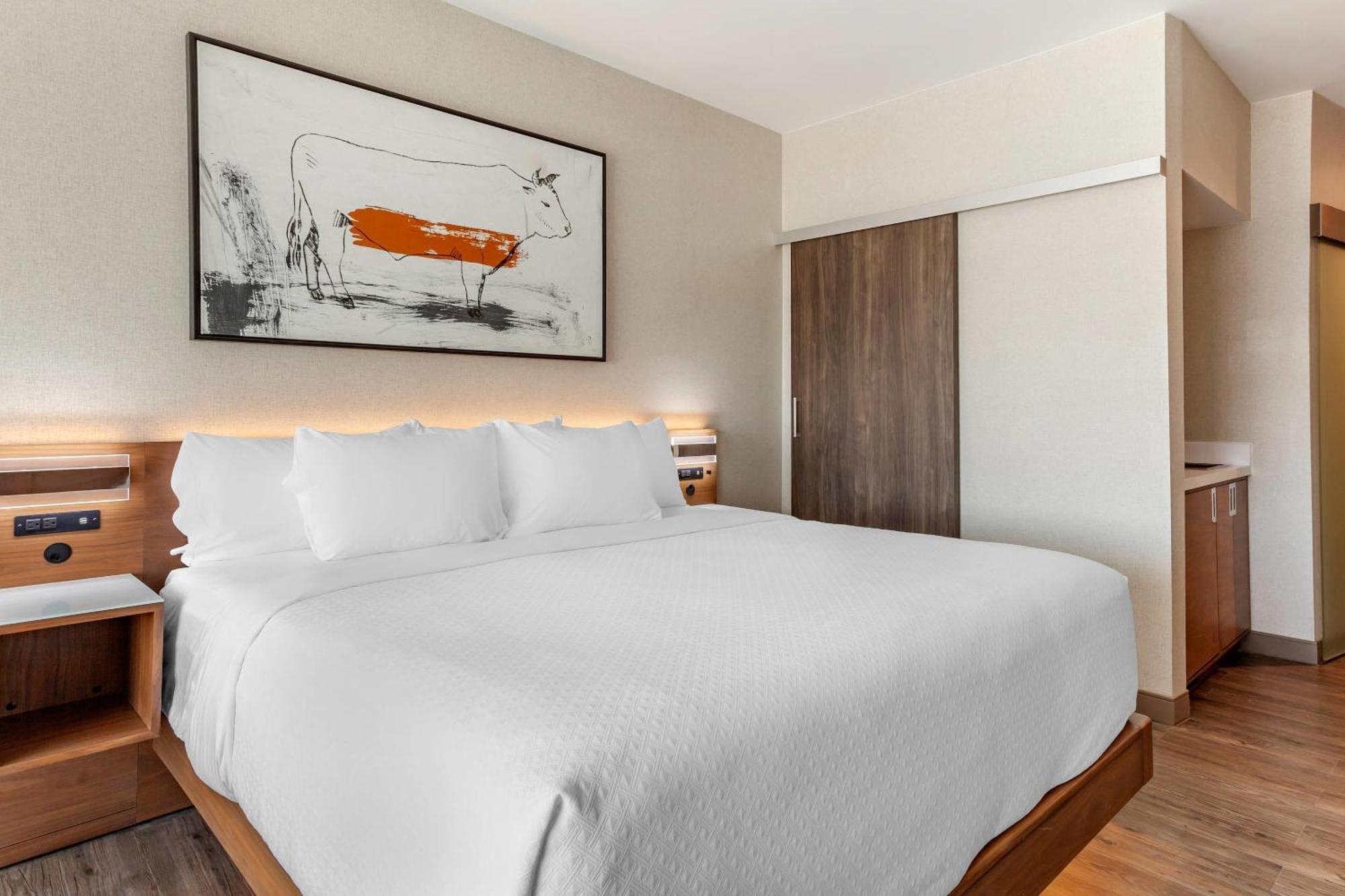 Cambria Hotel Richardson - Dallas Екстер'єр фото