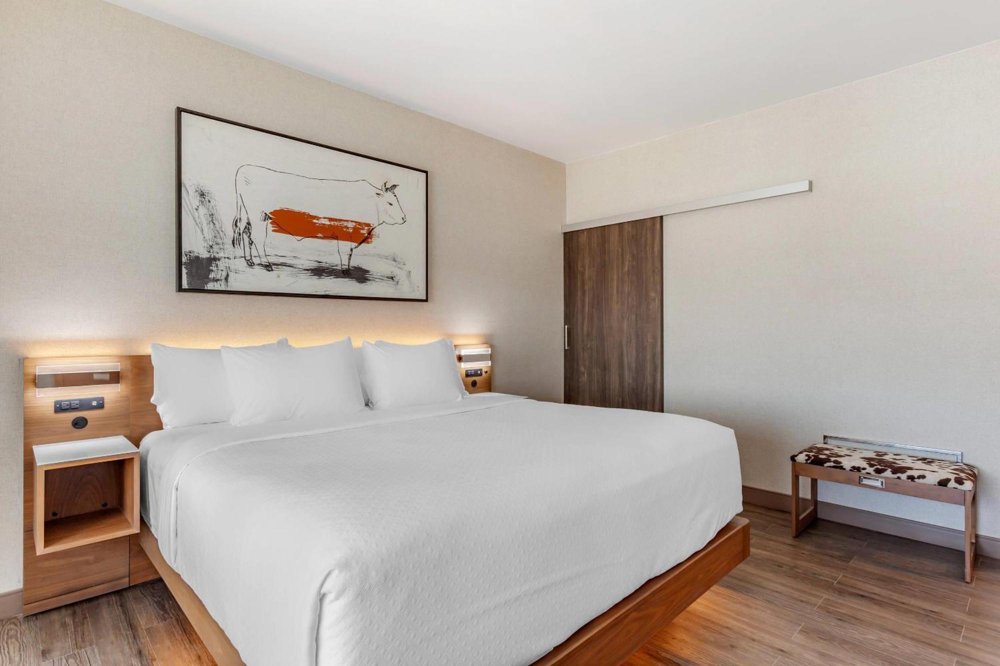 Cambria Hotel Richardson - Dallas Екстер'єр фото