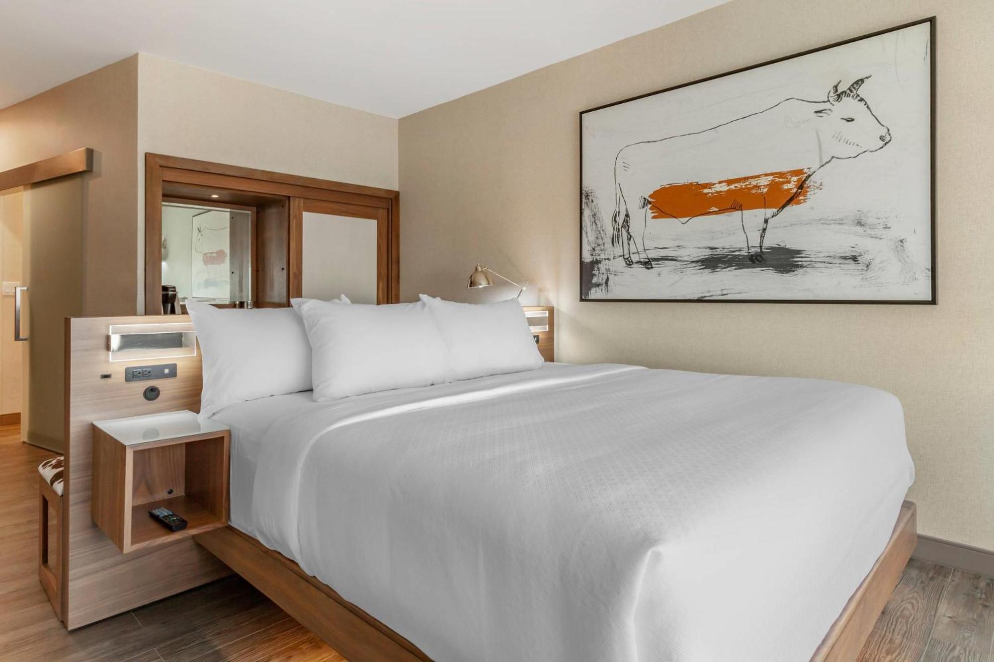 Cambria Hotel Richardson - Dallas Екстер'єр фото